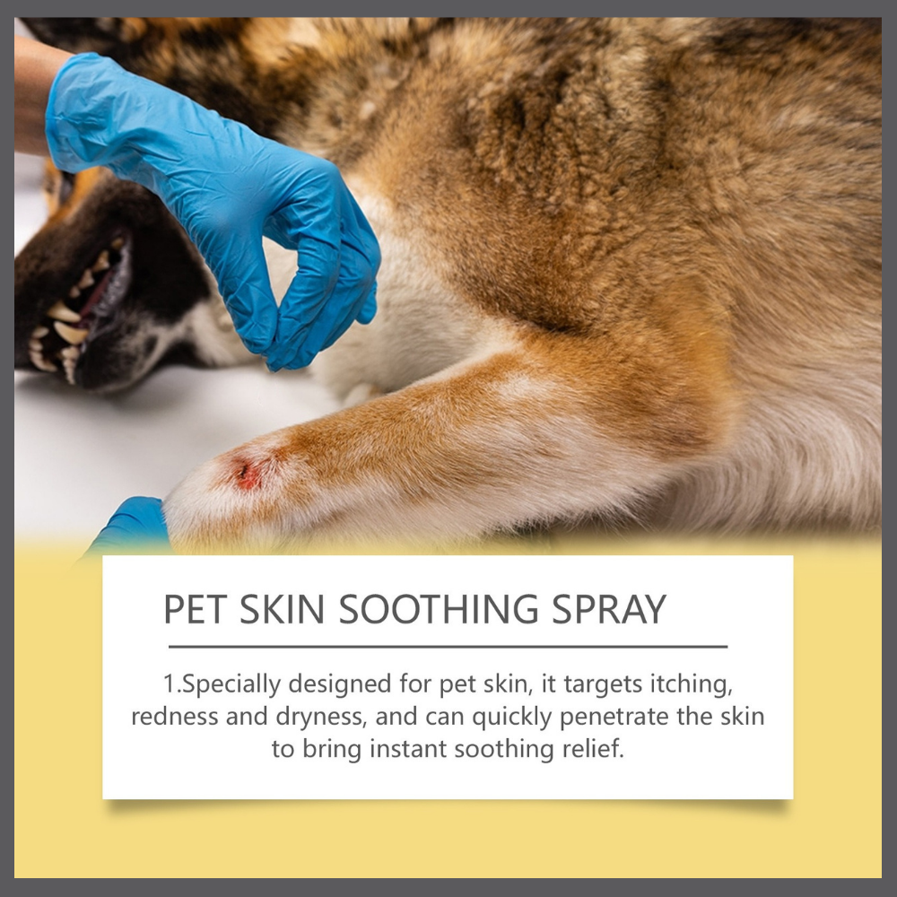 Dermapaws™ – Natural Anti-Itch Spray
