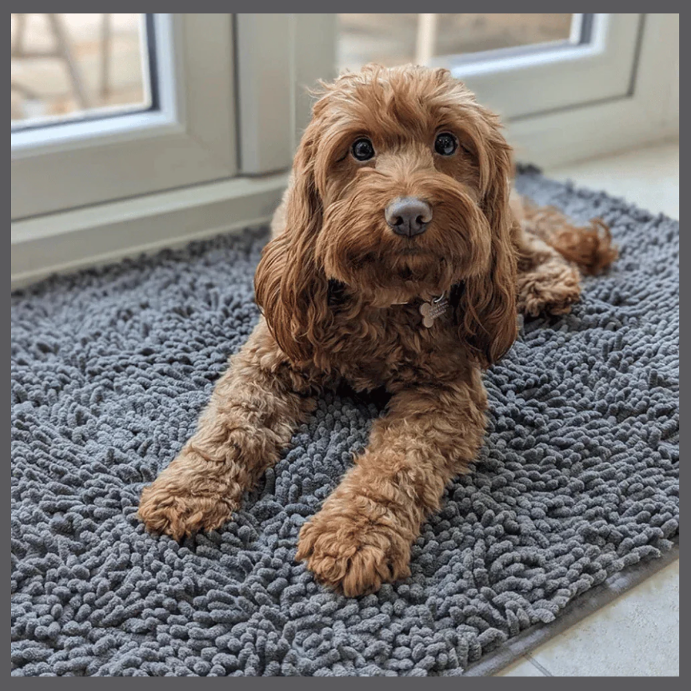 PawClean™ – Absorbent Anti-Trace Mat