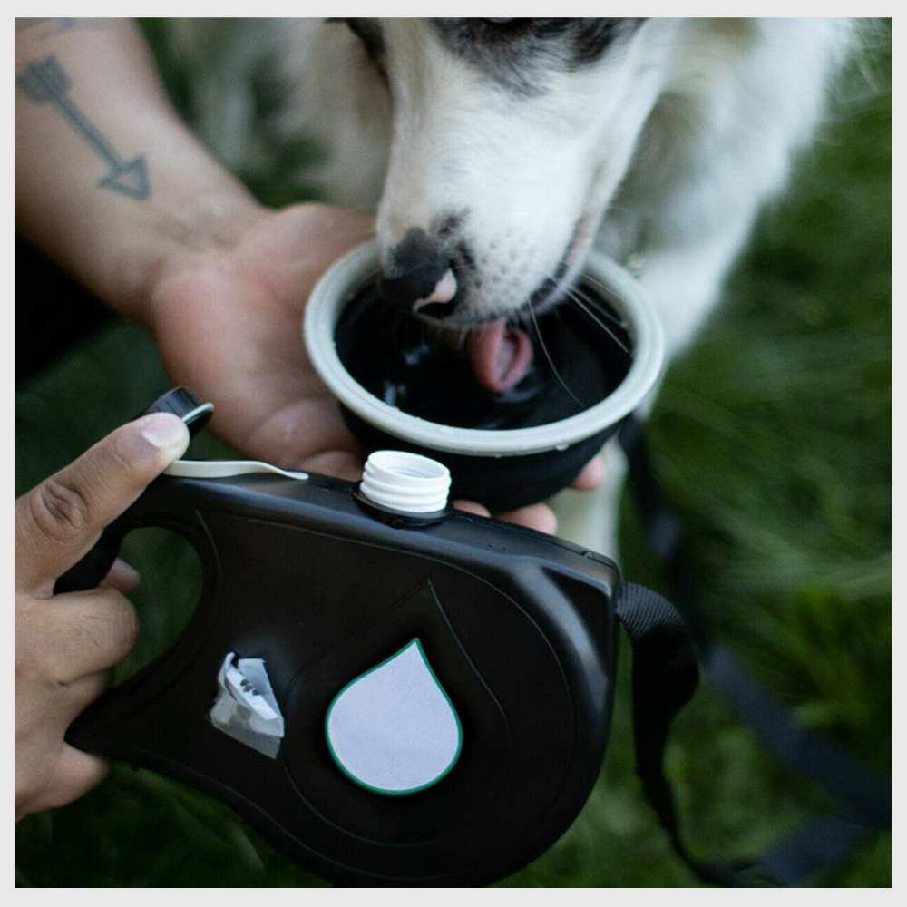 LeashPro™ – The Multifunctional Hydrating Dog Leash