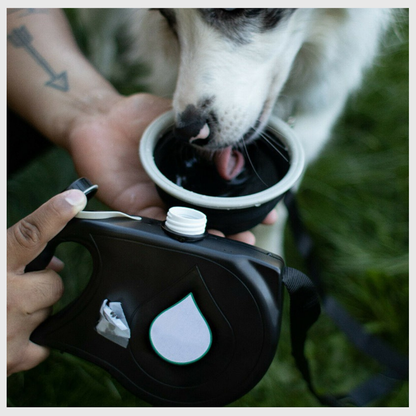 LeashPro™ – The Multifunctional Hydrating Dog Leash