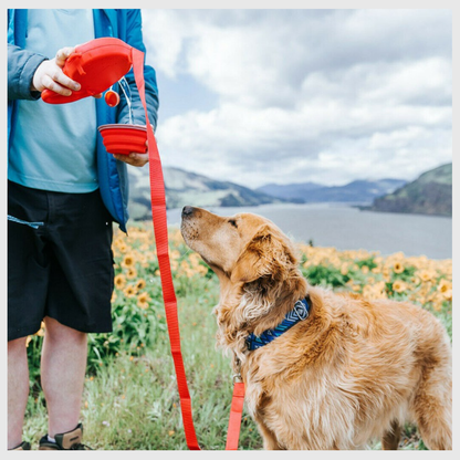 LeashPro™ – The Multifunctional Hydrating Dog Leash