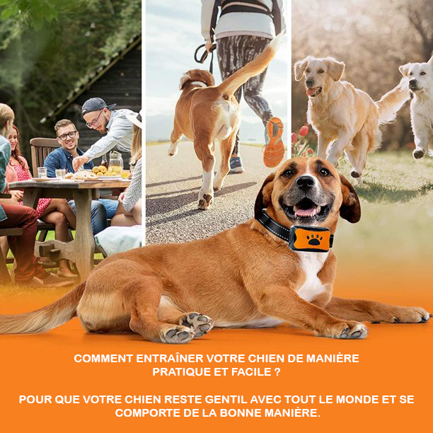 Pain-Free Anti-Bark Collar