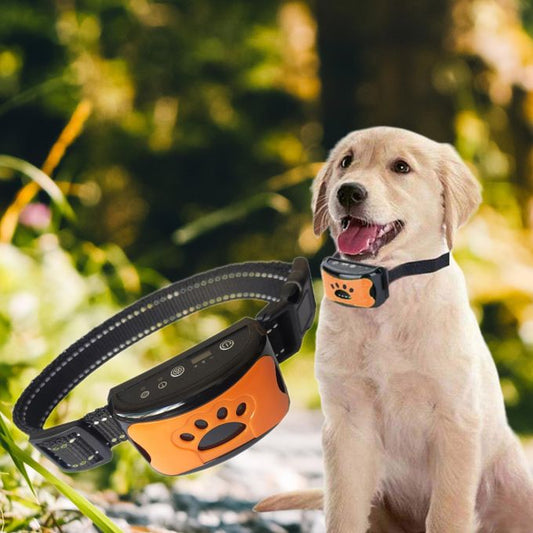 Pain-Free Anti-Bark Collar