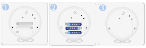 Willi -The Awakening Whale