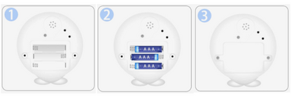 Willi -The Awakening Whale